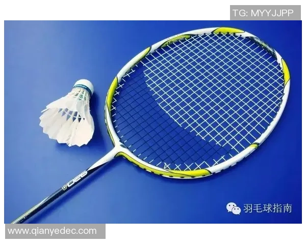 重庆羽毛球队与杭州羽毛球队速度对比赛后分析与战术总结